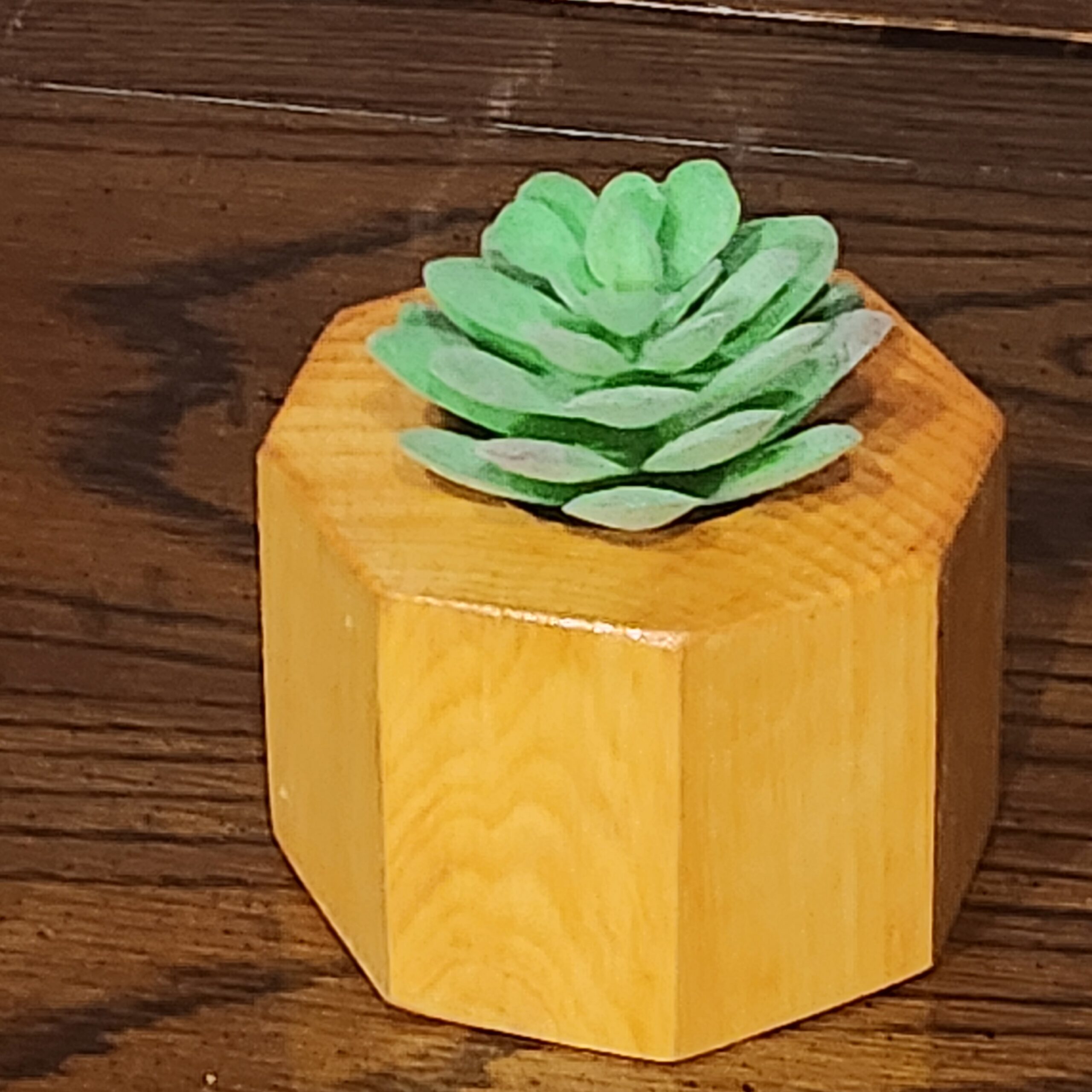 Succulent Planter