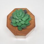 Succulent Planter