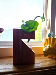 Propagation Plant holder