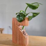 Propagation Plant Holder