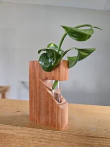 Propagation Plant Holder